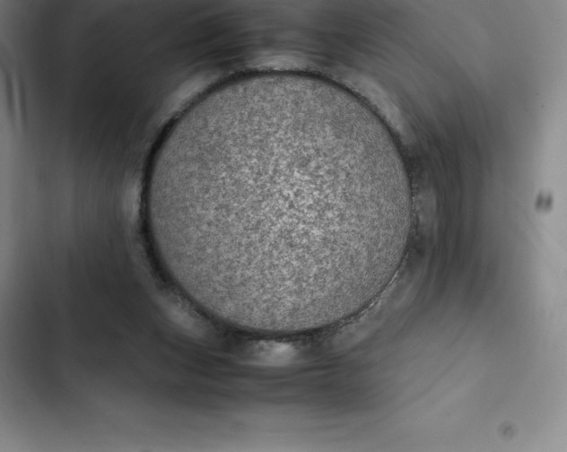 X0000102520159200808221849