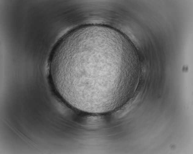 X0000102520160200808221849