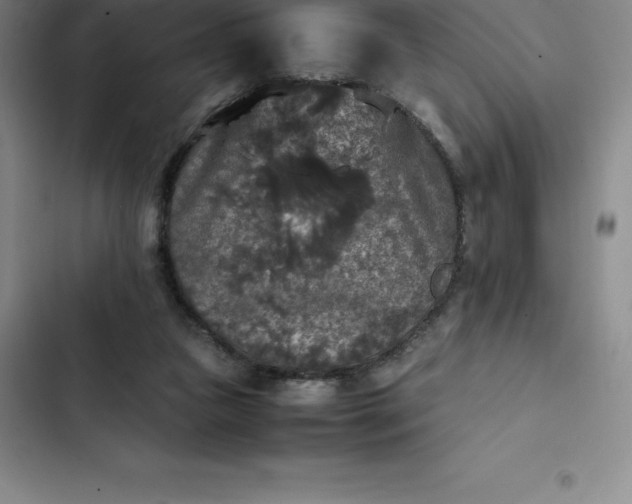 X0000102520161200808221849