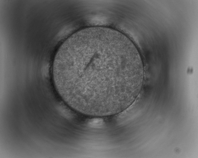 X0000102520162200808221849