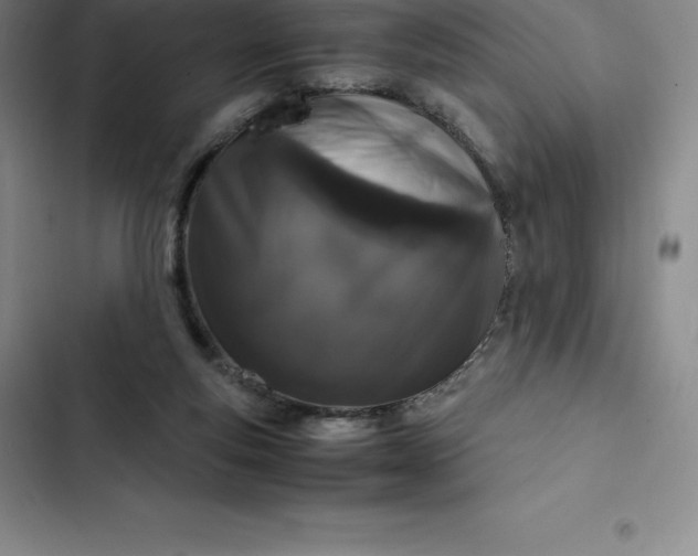 X0000102520163200808221849