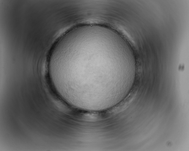 X0000102520164200808221849