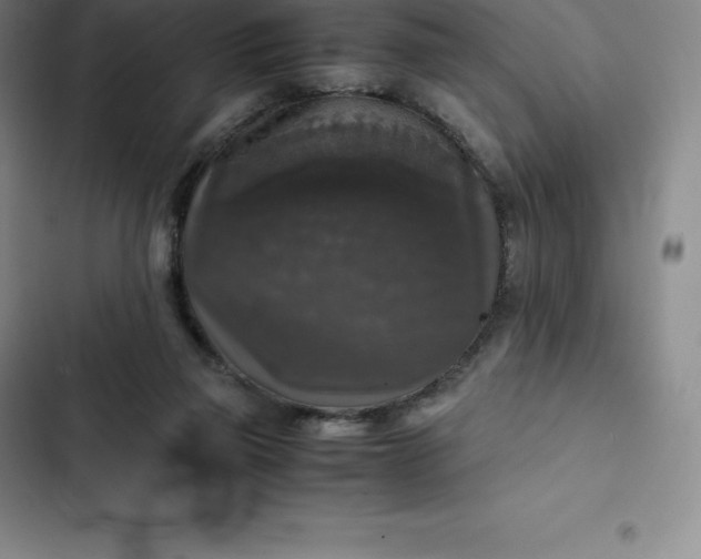 X0000102520165200808221850