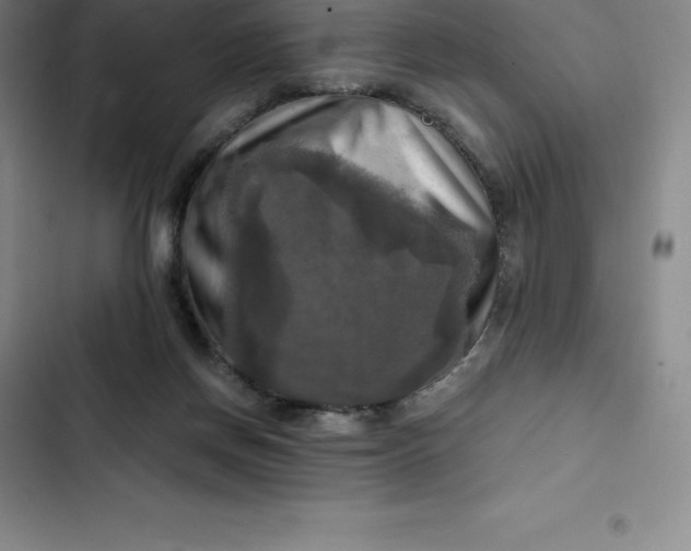 X0000102520166200808221850