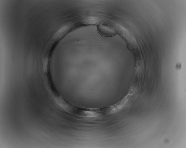 X0000102520167200808221850