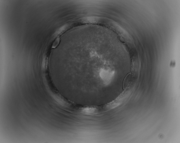 X0000102520168200808221850