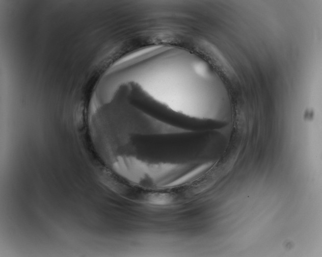 X0000102520169200808221850