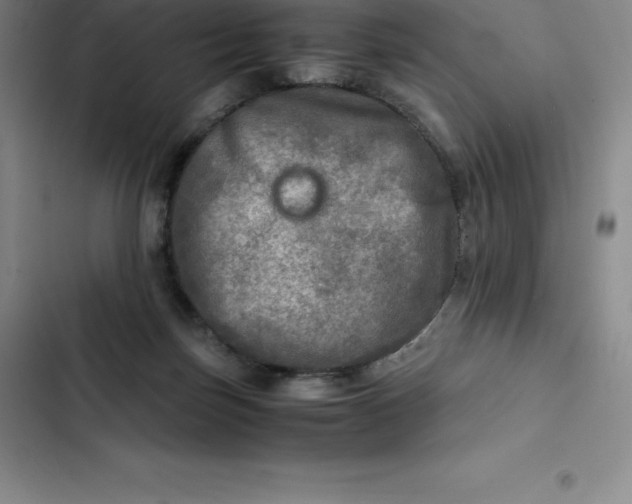 X0000102520171200808221850