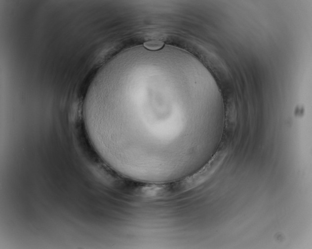 X0000102520172200808221850