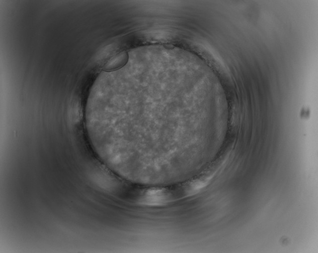 X0000102520173200808221850