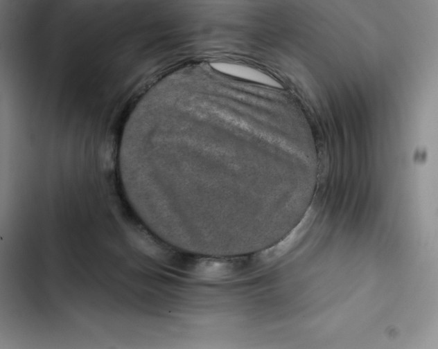 X0000102520174200808221850