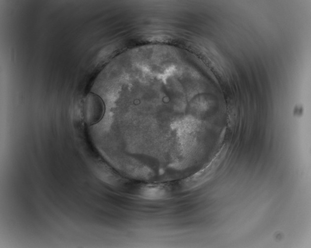 X0000102520175200808221850