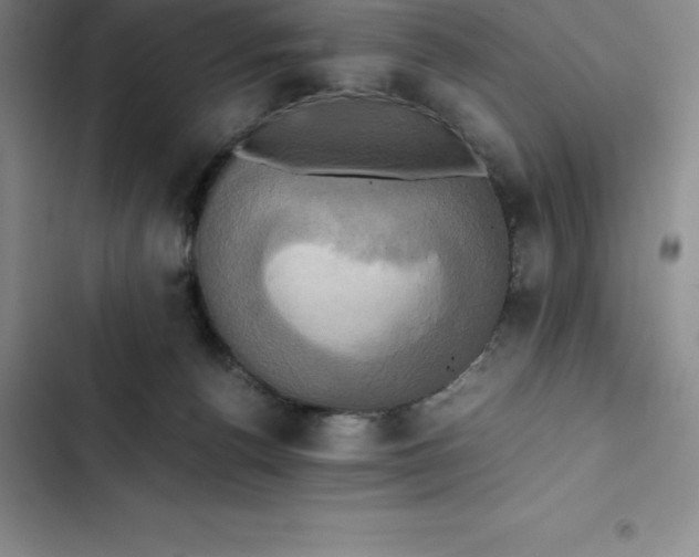 X0000102520176200808221850