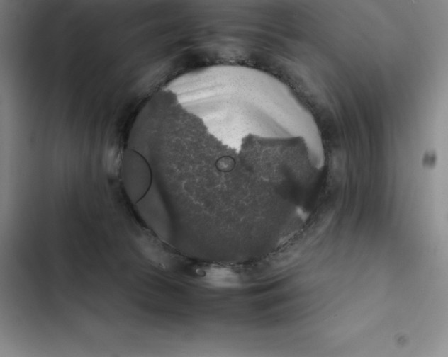 X0000102520177200808221850