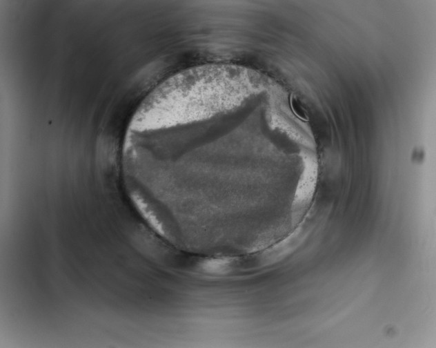 X0000102520178200808221850