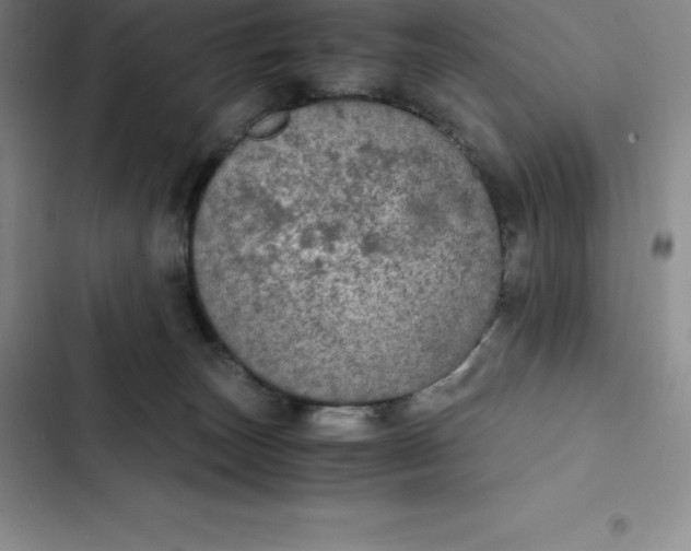 X0000102520179200808221850