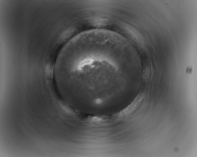 X0000102520180200808221850