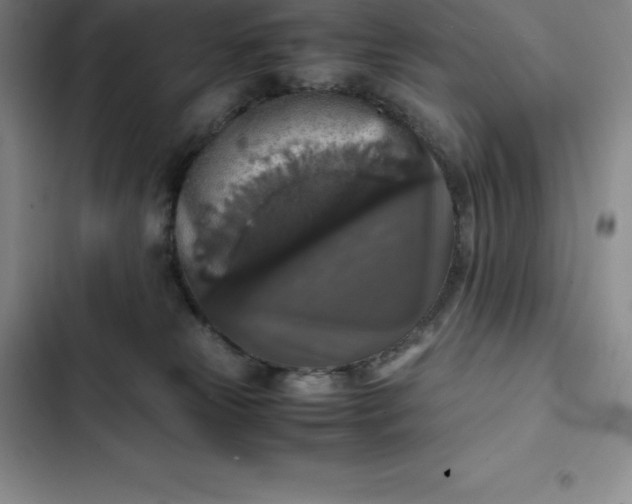 X0000102520181200808221850