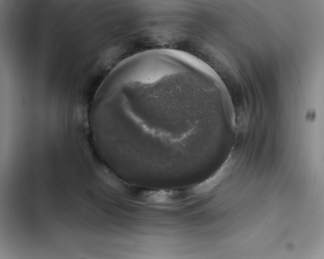 X0000102520182200808221850