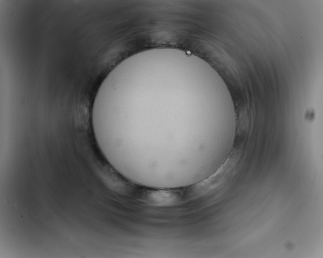 X0000102520183200808221850