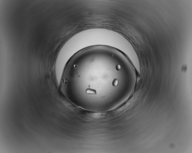 X0000102520184200808221850