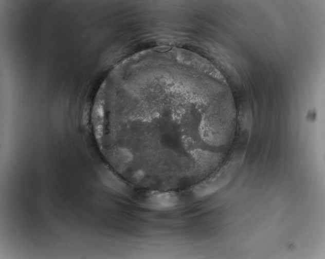 X0000102520185200808221850