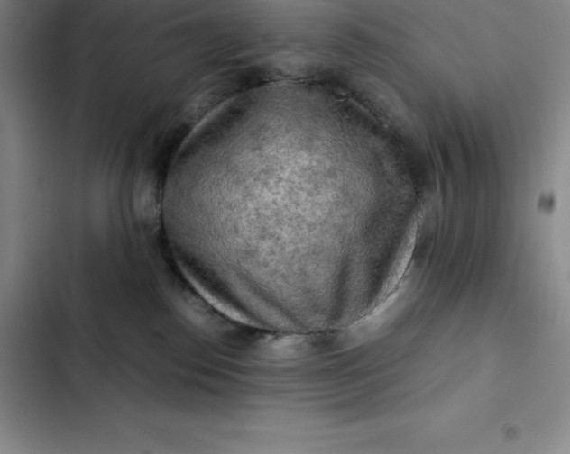 X0000102520186200808221850