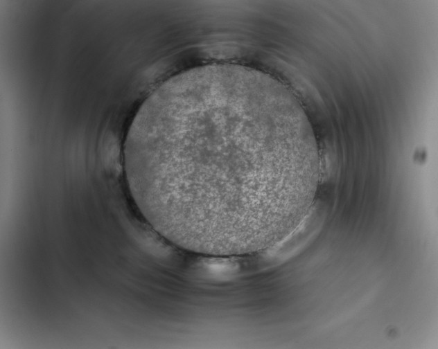 X0000102520187200808221850