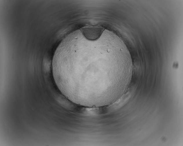 X0000102520188200808221850