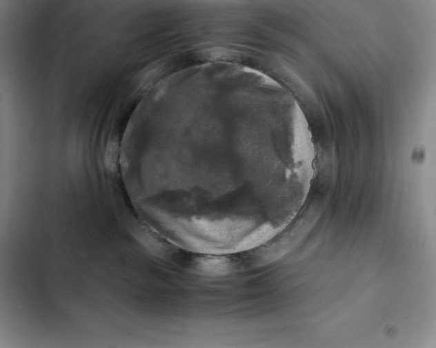 X0000102520189200808221850