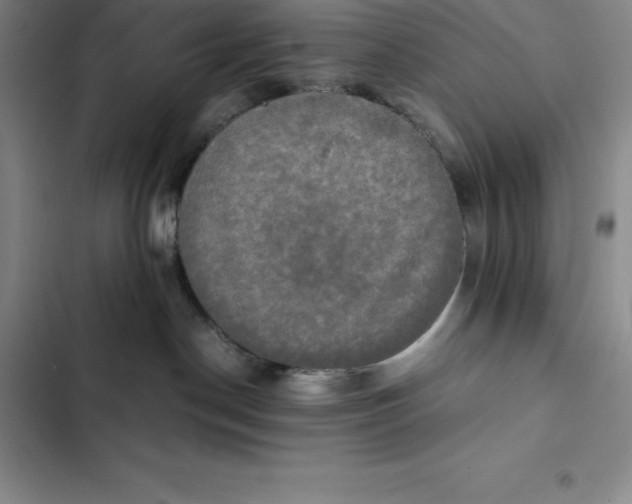 X0000102520190200808221850