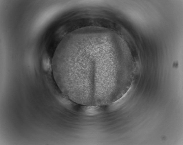 X0000102520191200808221850