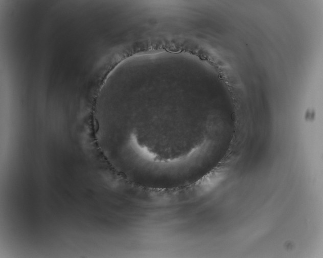 X0000102520192200808221850