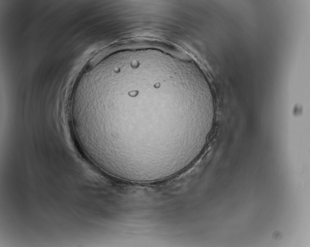 X0000102520193200808221849