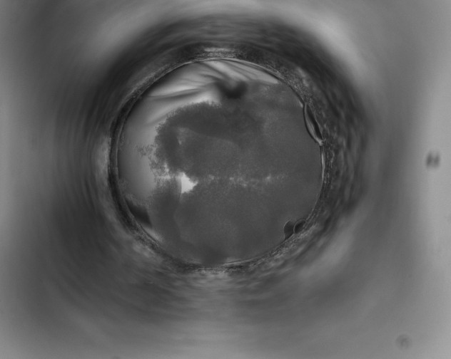 X0000102520194200808221849