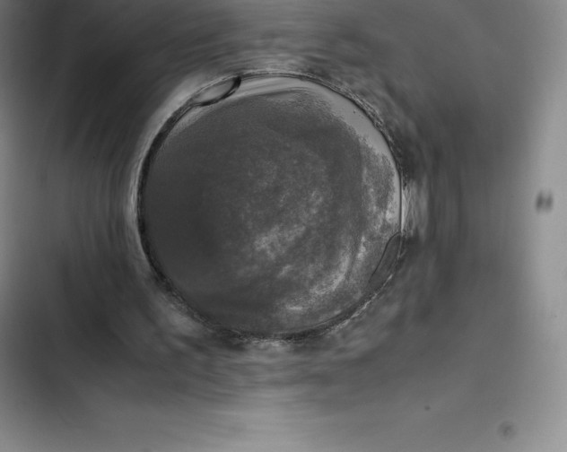 X0000102520195200808221849