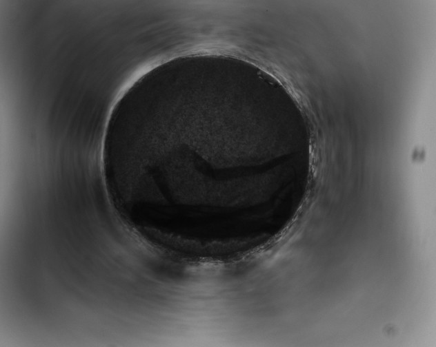 X0000102520196200808221849