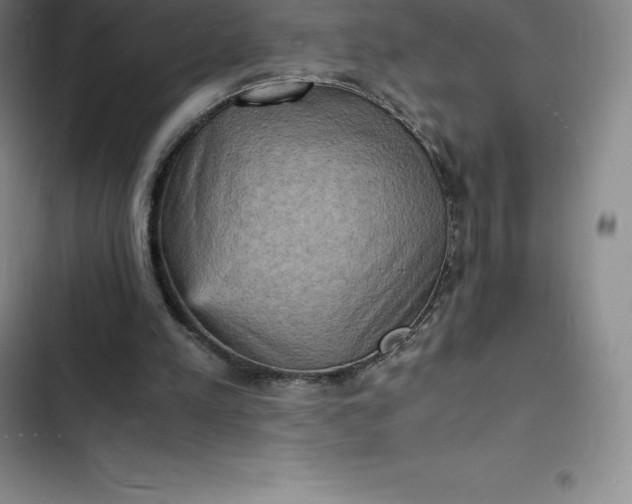 X0000102520197200808221849