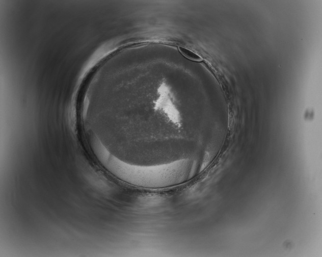 X0000102520198200808221849