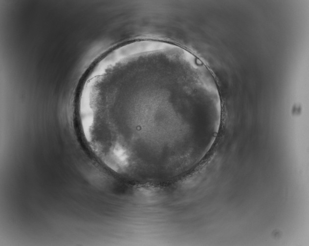 X0000102520199200808221849