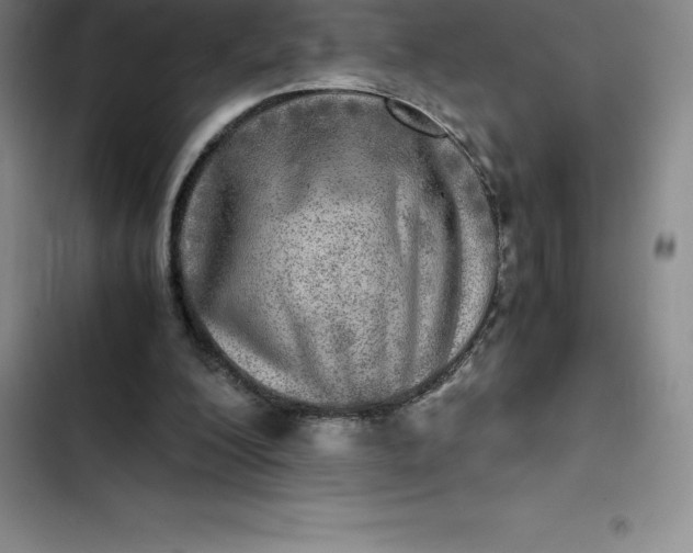 X0000102520200200808221849