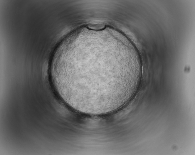 X0000102520201200808221849