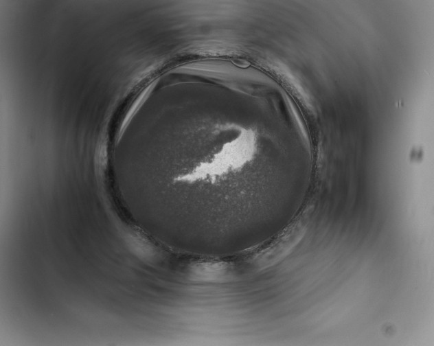 X0000102520202200808221849