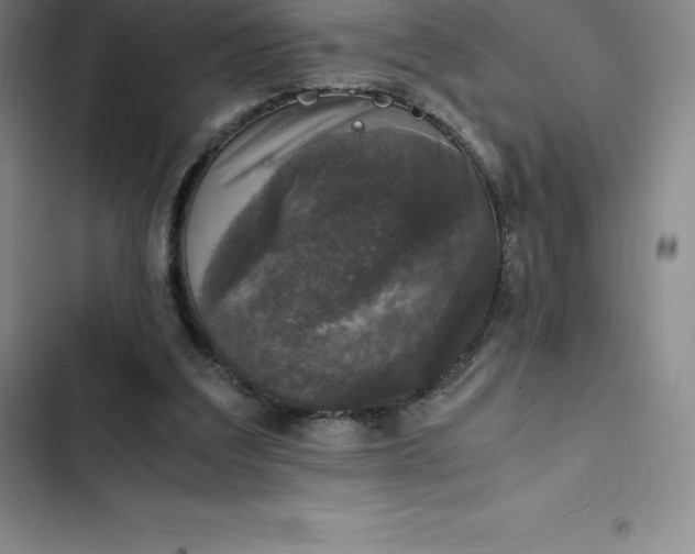 X0000102520203200808221849