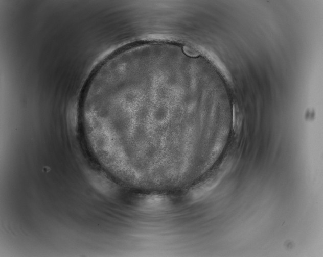 X0000102520204200808221849