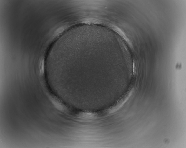 X0000102520205200808221849