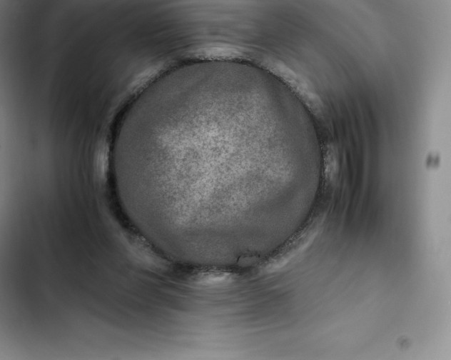 X0000102520206200808221849