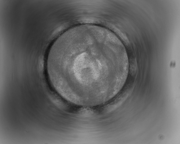 X0000102520207200808221849