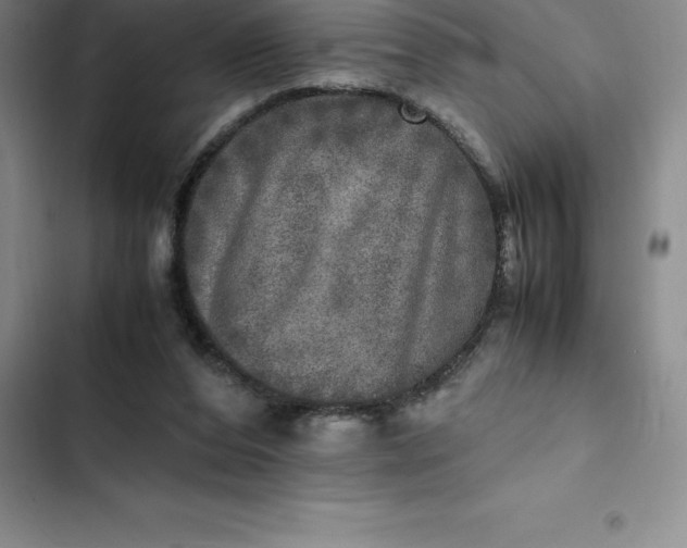 X0000102520208200808221849