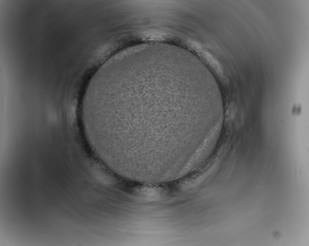 X0000102520209200808221849